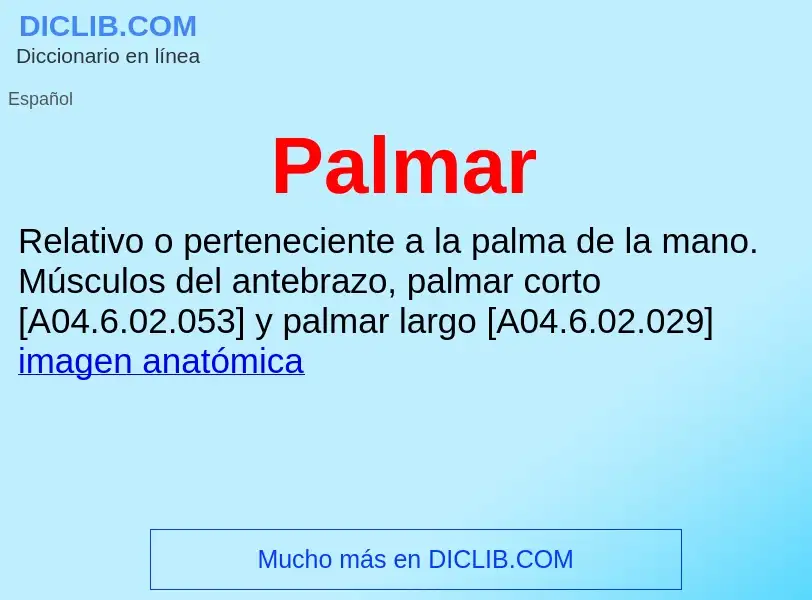 Wat is Palmar - definition