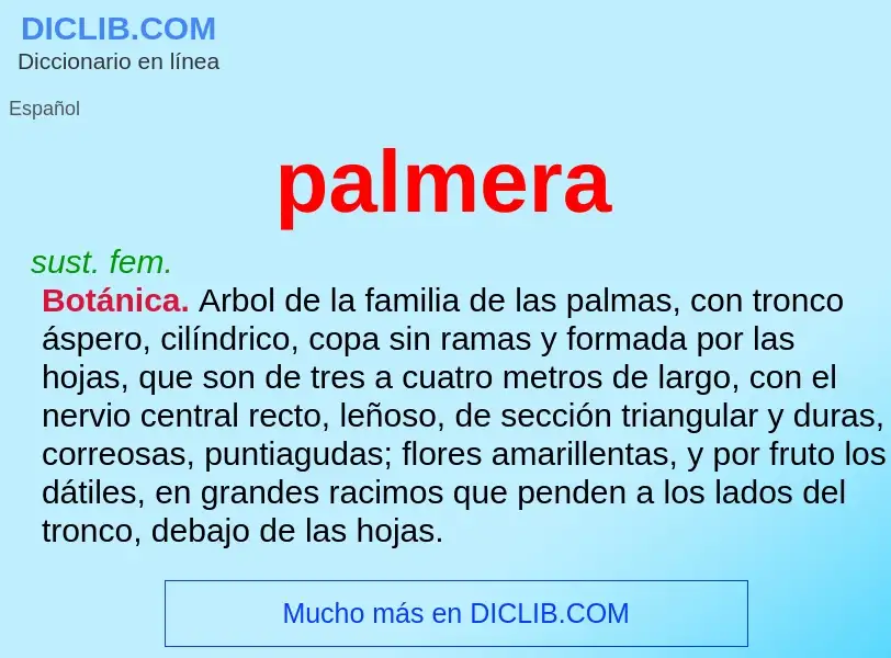 O que é palmera - definição, significado, conceito