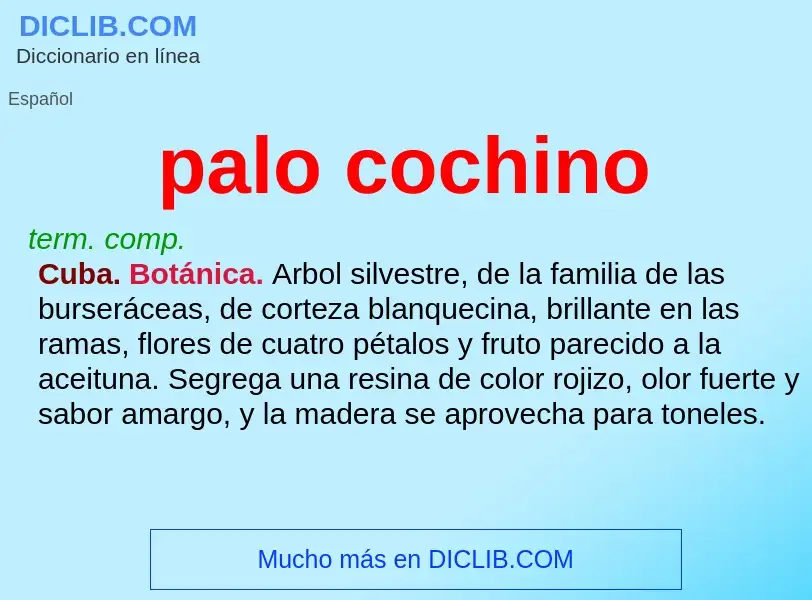 Che cos'è palo cochino - definizione