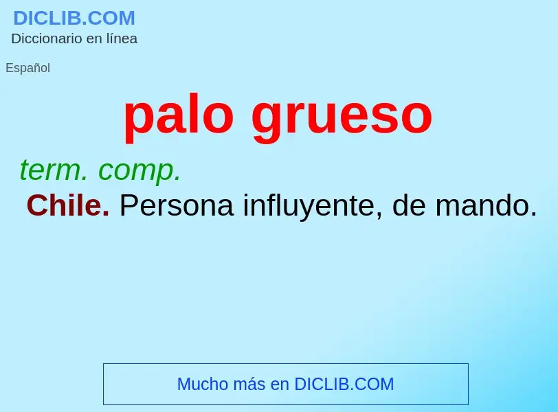 Wat is palo grueso - definition