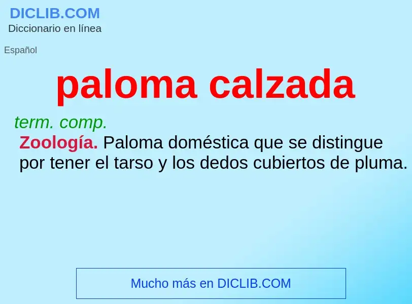 ¿Qué es paloma calzada? - significado y definición