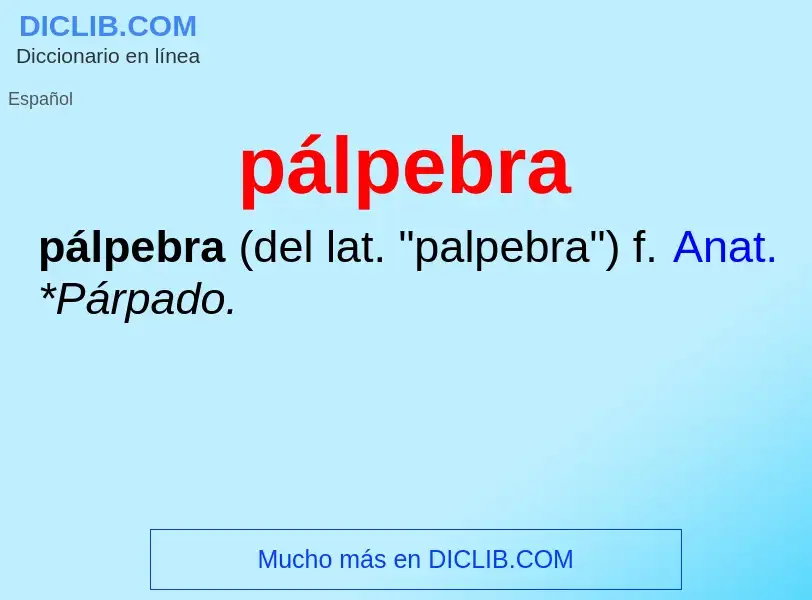 ¿Qué es pálpebra? - significado y definición