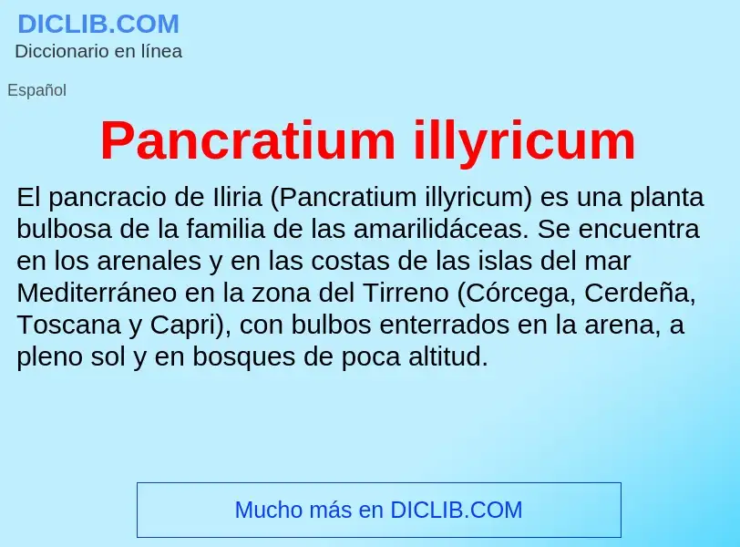 ¿Qué es Pancratium illyricum? - significado y definición