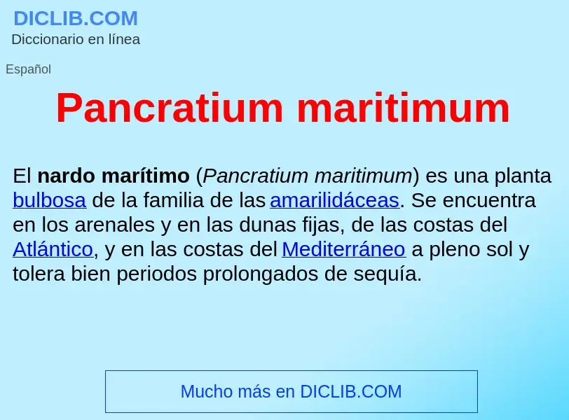 ¿Qué es Pancratium maritimum ? - significado y definición