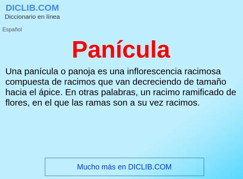 ¿Qué es Panícula? - significado y definición