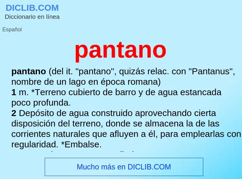 What is pantano - definition