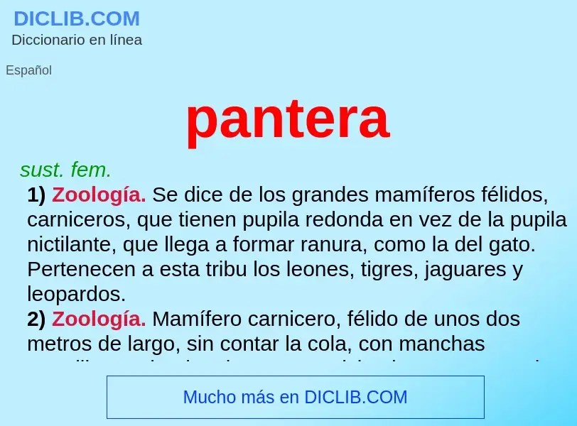 O que é pantera - definição, significado, conceito