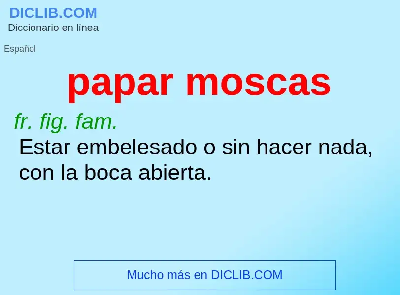 Was ist papar moscas - Definition