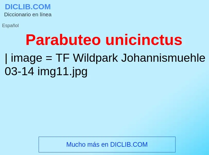 ¿Qué es Parabuteo unicinctus? - significado y definición