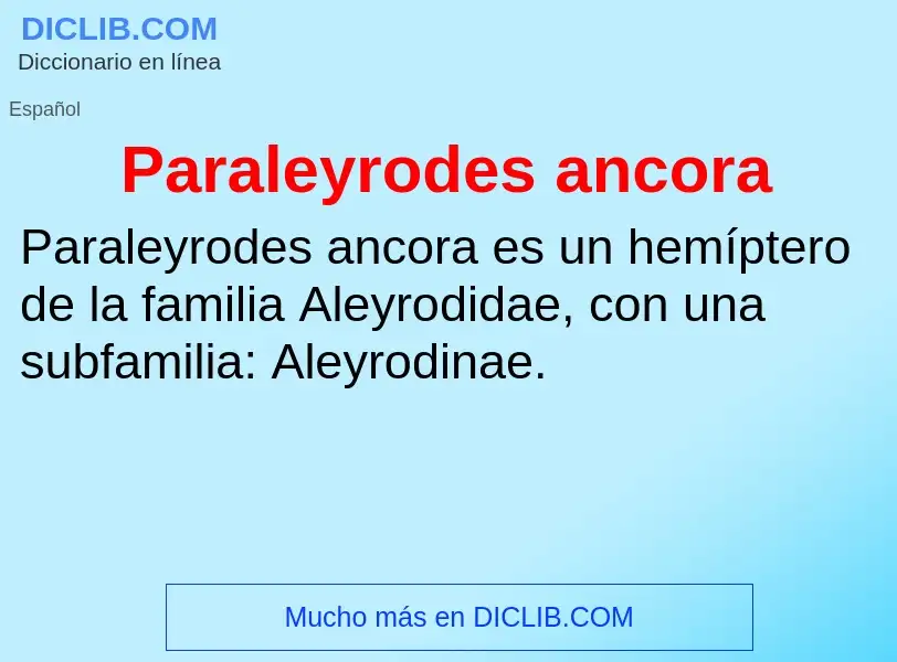 Was ist Paraleyrodes ancora - Definition