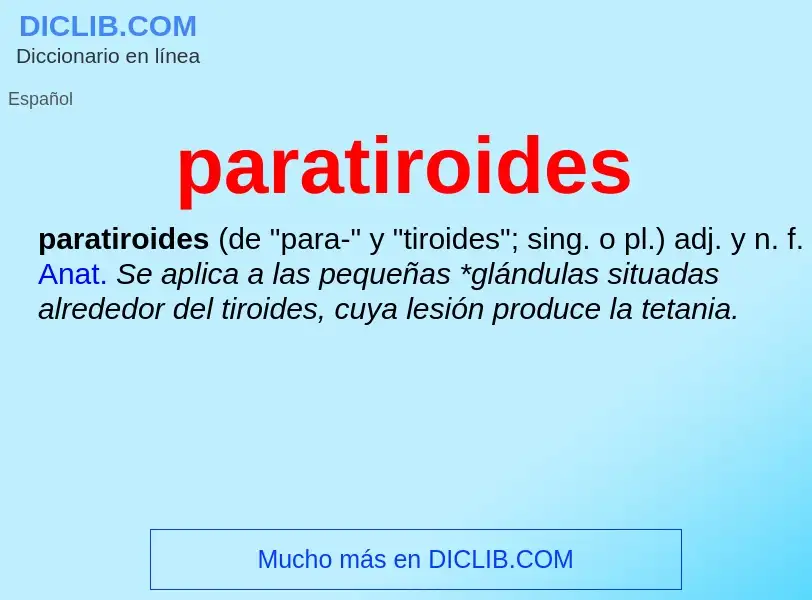 ¿Qué es paratiroides? - significado y definición