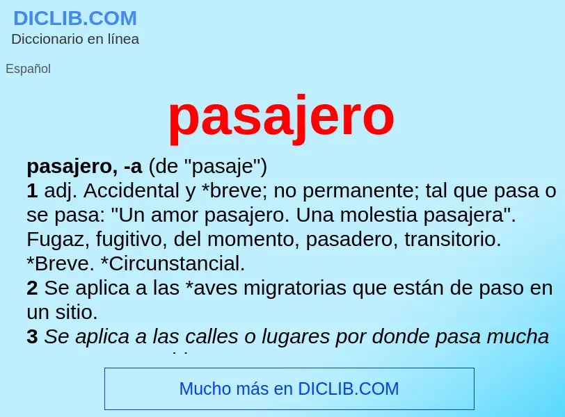 What is pasajero - definition