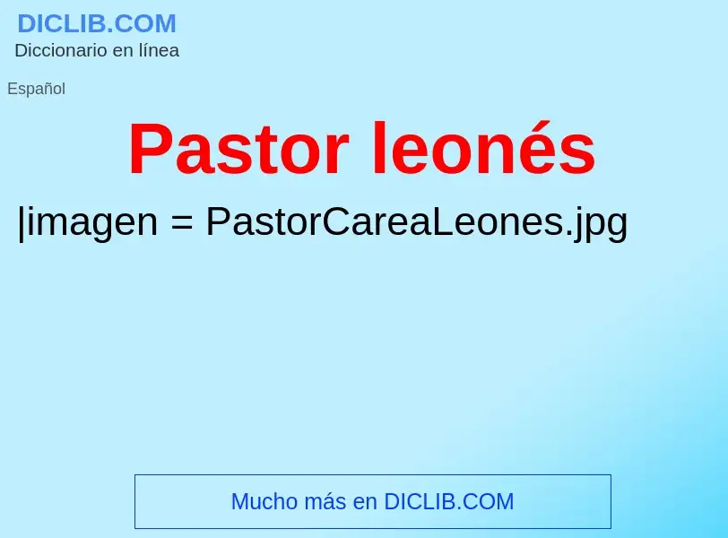 Wat is Pastor leonés - definition