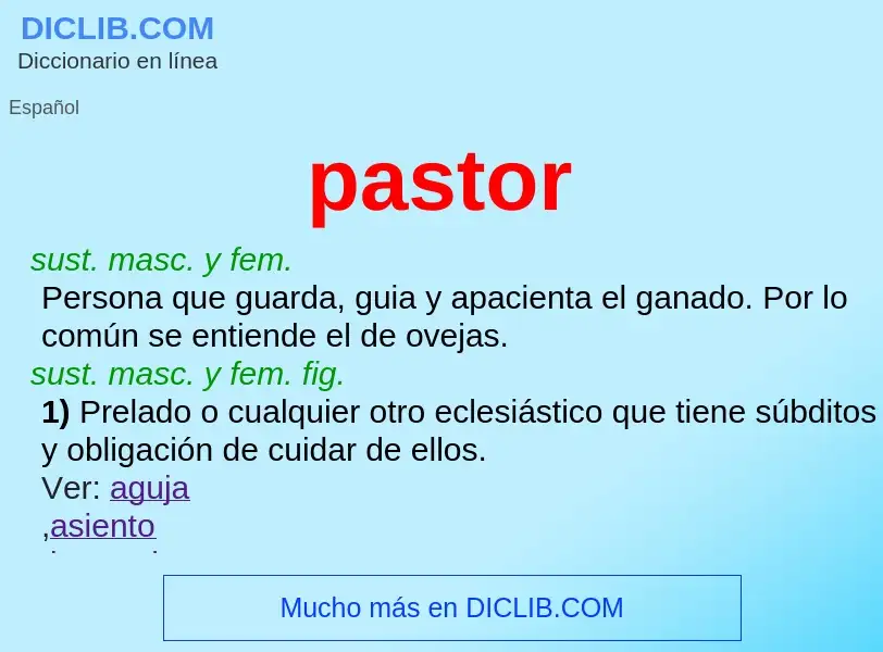 What is pastor - meaning and definition