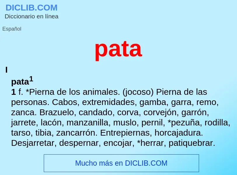 What is pata - definition