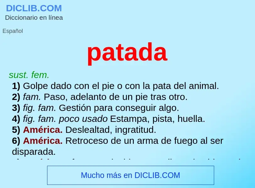 What is patada - definition