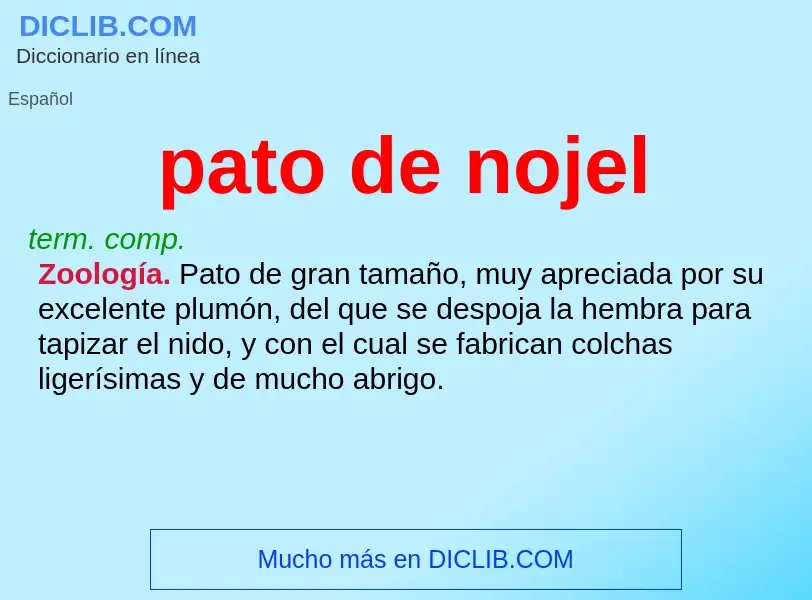 What is pato de nojel - definition