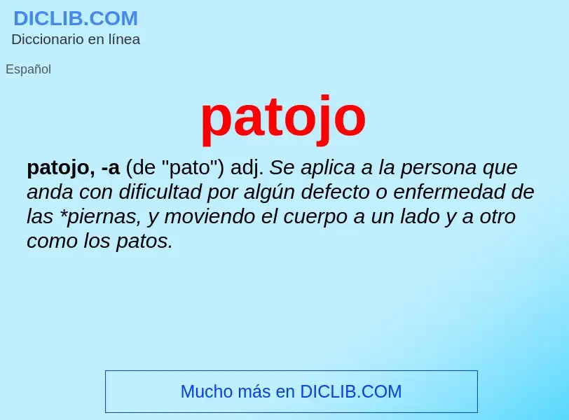 Was ist patojo - Definition