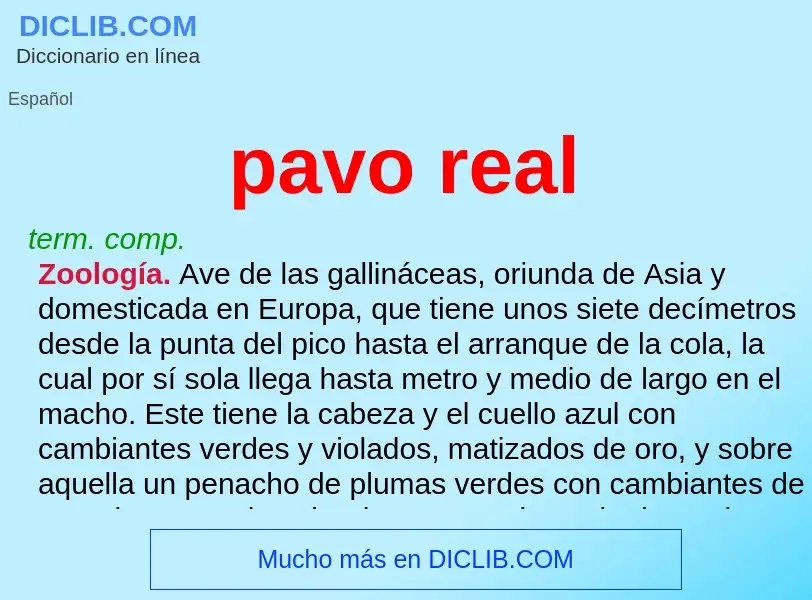 What is pavo real - definition