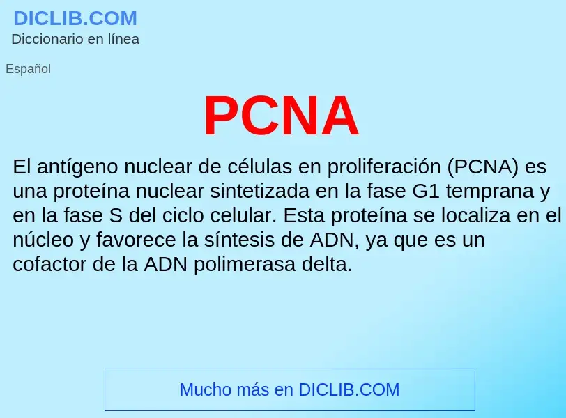 O que é PCNA - definição, significado, conceito