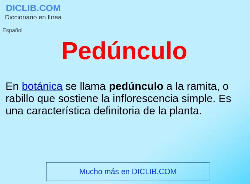 What is Pedúnculo  - definition