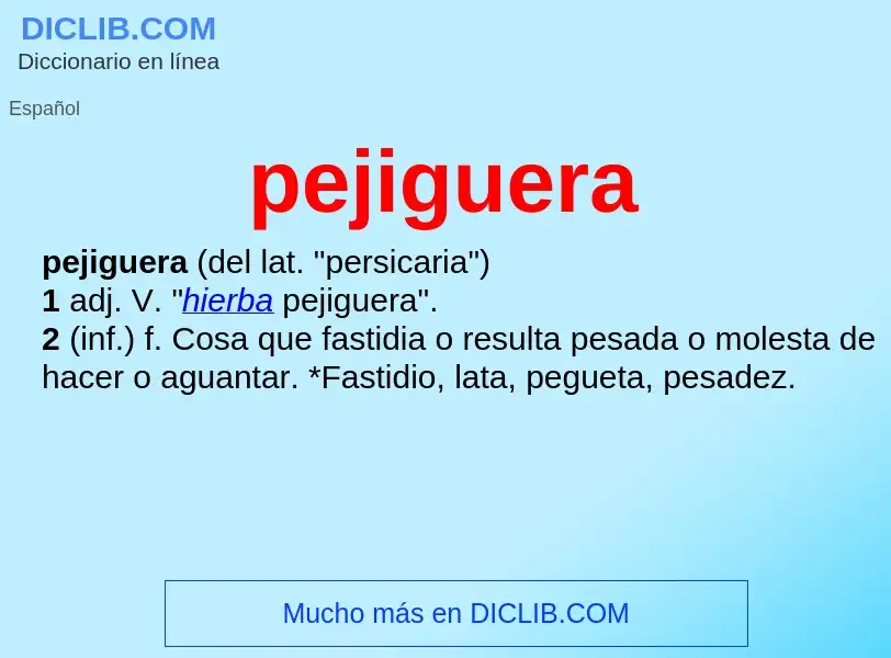 ¿Qué es pejiguera? - significado y definición