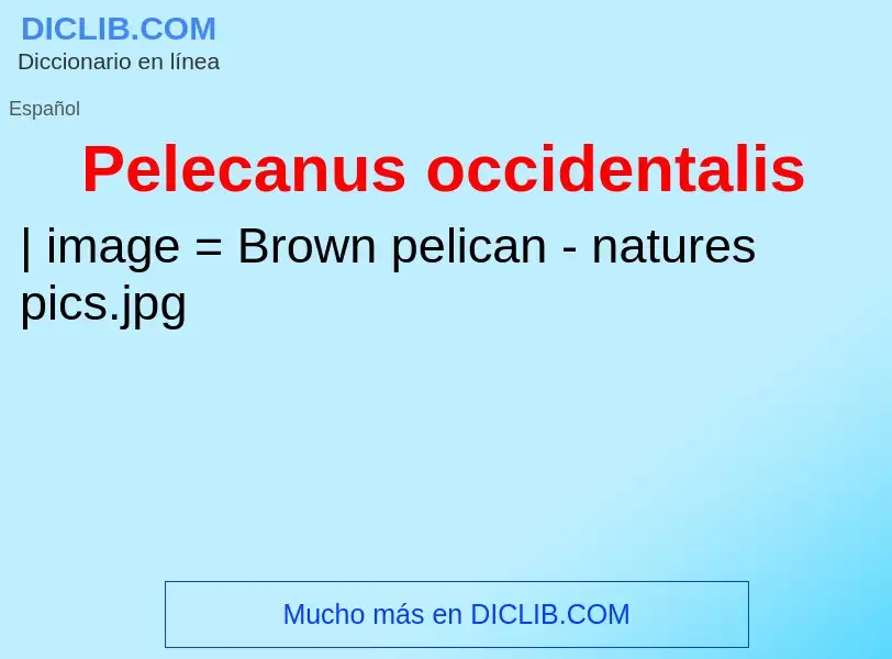 Τι είναι Pelecanus occidentalis - ορισμός