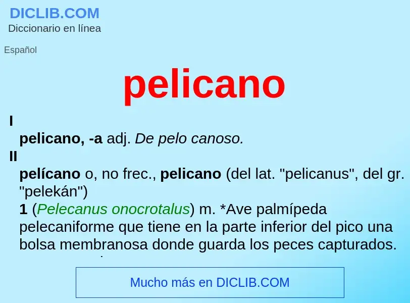 ¿Qué es pelicano? - significado y definición