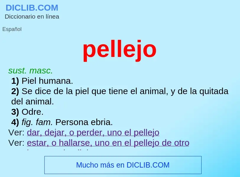 Wat is pellejo - definition