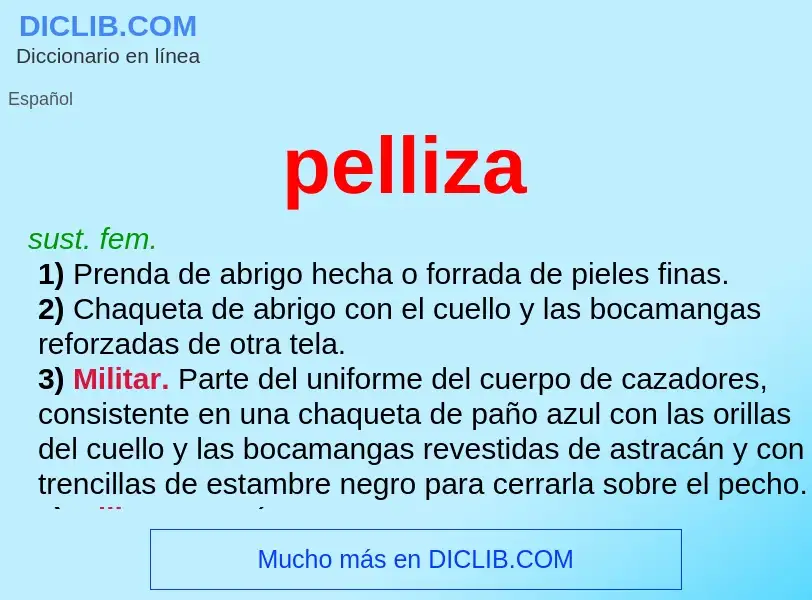 O que é pelliza - definição, significado, conceito