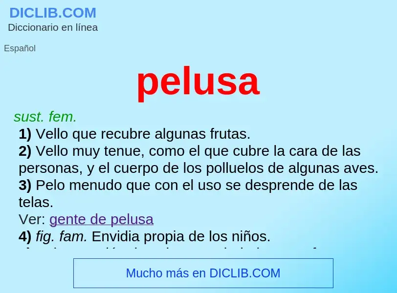 What is pelusa - definition