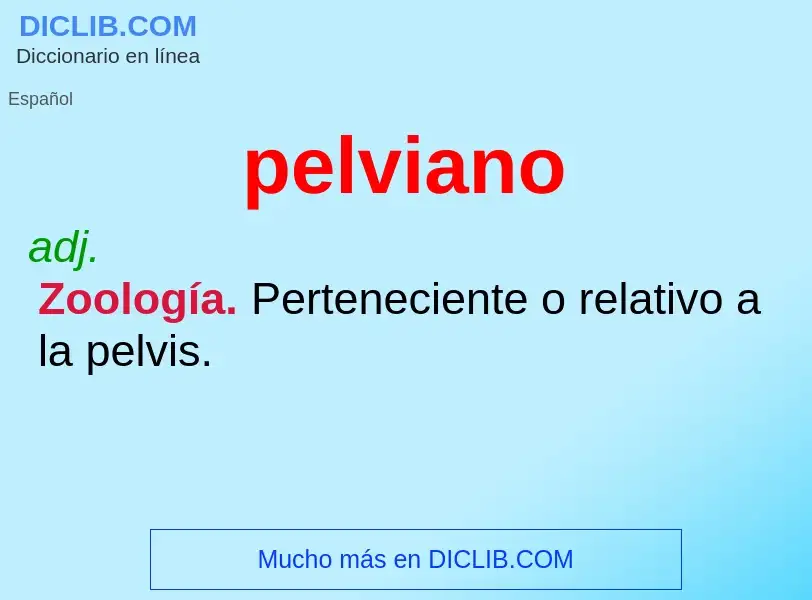 ¿Qué es pelviano? - significado y definición