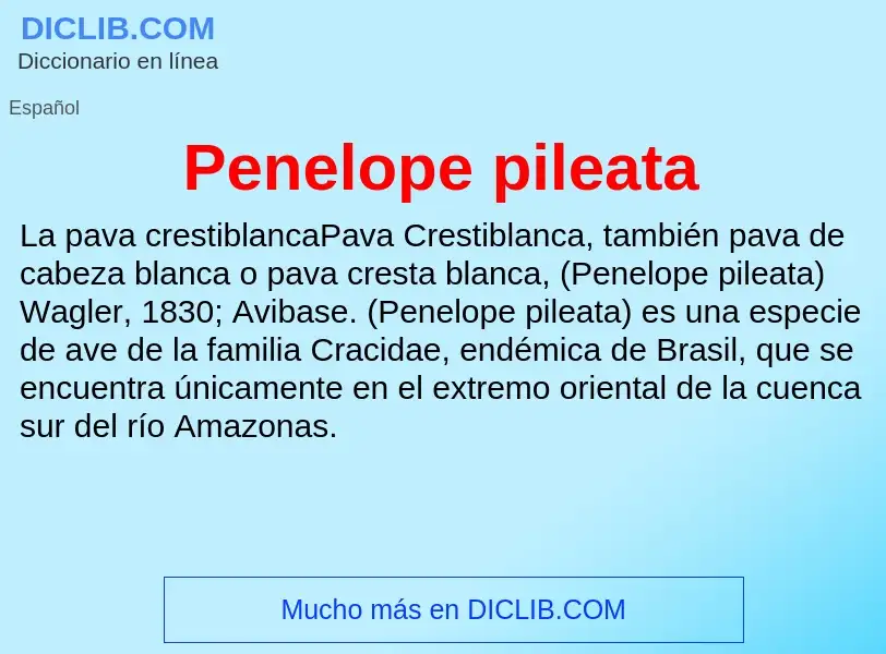 O que é Penelope pileata - definição, significado, conceito