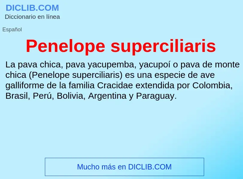 What is Penelope superciliaris - meaning and definition