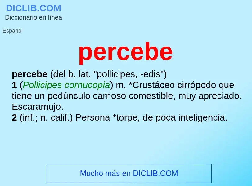 O que é percebe - definição, significado, conceito