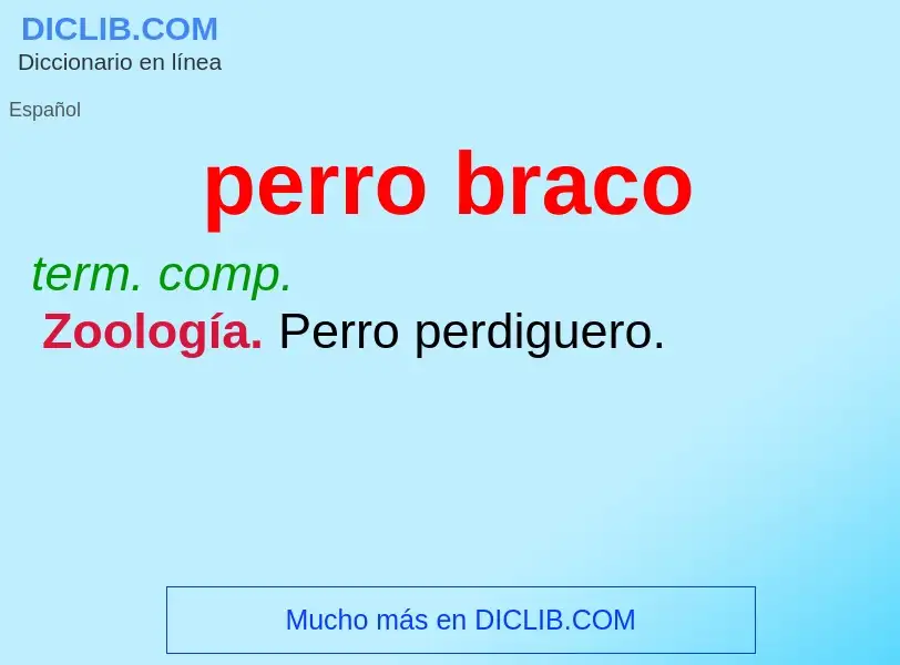 Was ist perro braco - Definition