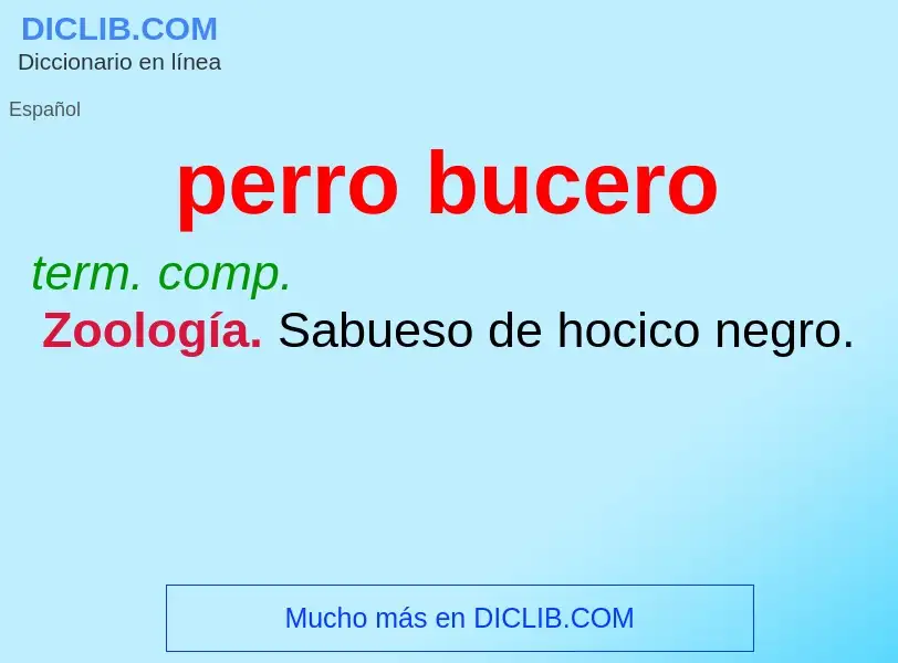 Was ist perro bucero - Definition