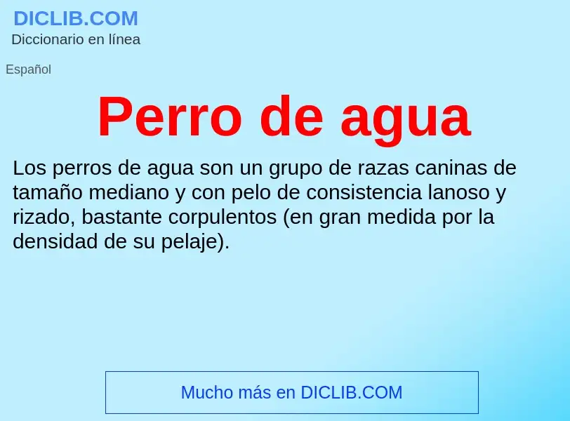 Was ist Perro de agua - Definition