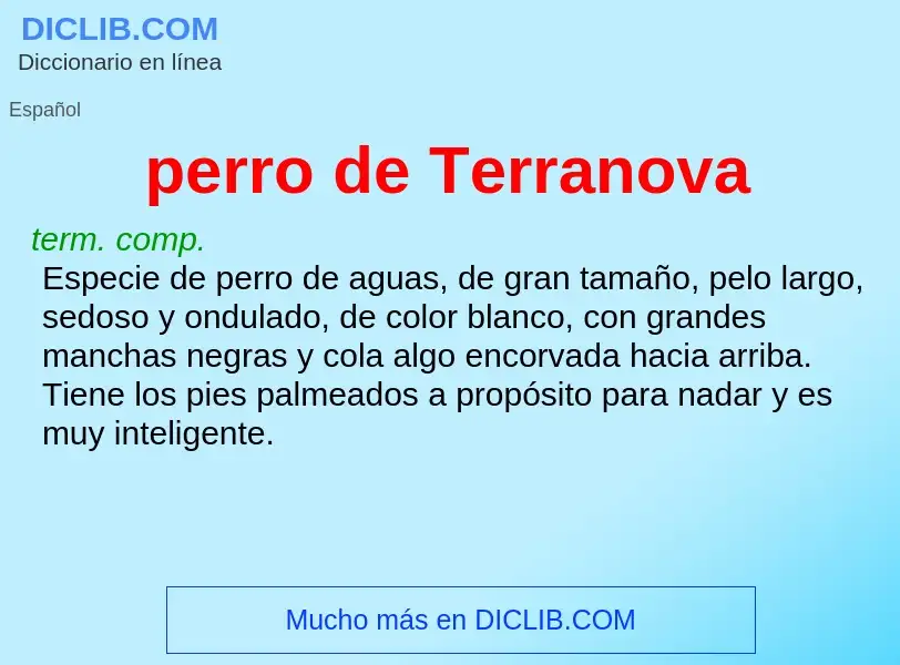 Was ist perro de Terranova - Definition