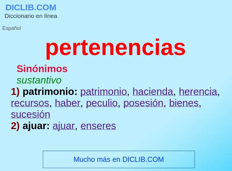 Was ist pertenencias - Definition