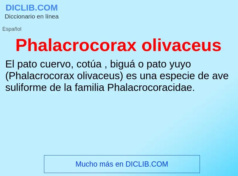 Что такое Phalacrocorax olivaceus - определение