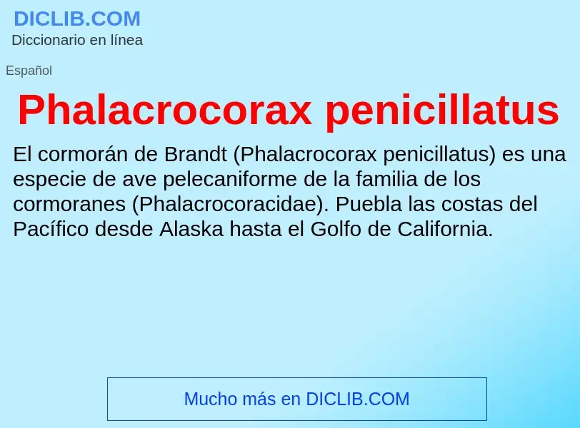 O que é Phalacrocorax penicillatus - definição, significado, conceito