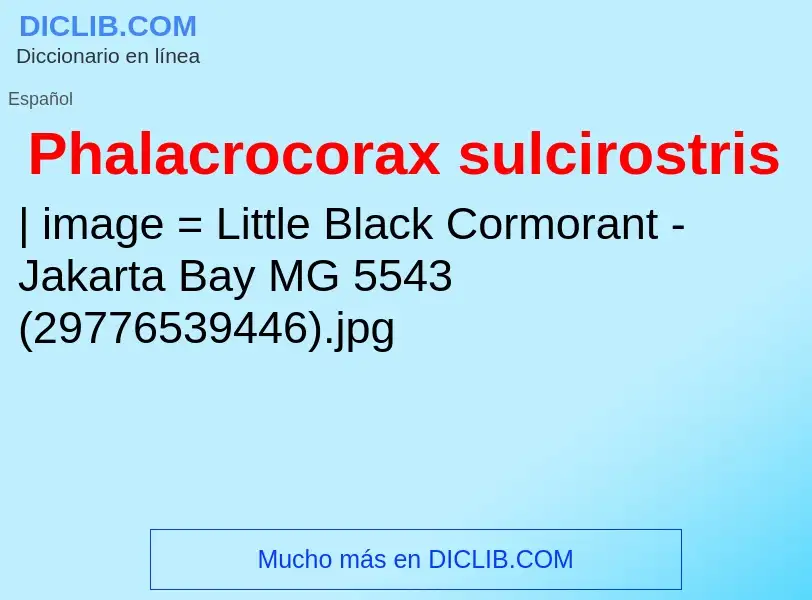 Wat is Phalacrocorax sulcirostris - definition