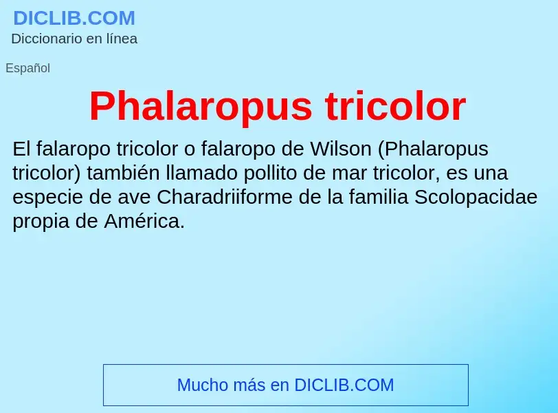 Что такое Phalaropus tricolor - определение