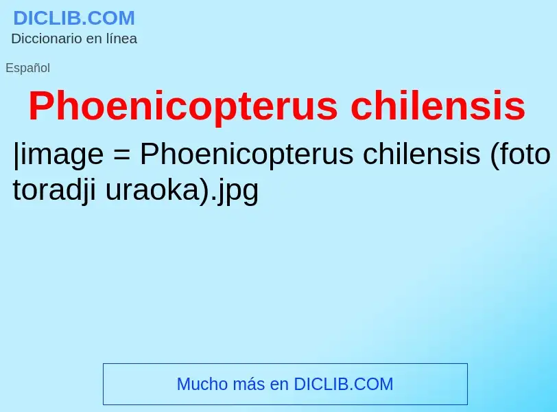 O que é Phoenicopterus chilensis - definição, significado, conceito