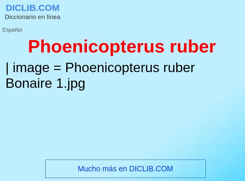 Wat is Phoenicopterus ruber - definition