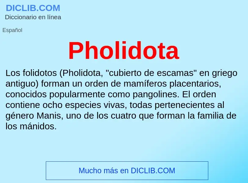 What is Pholidota - meaning and definition