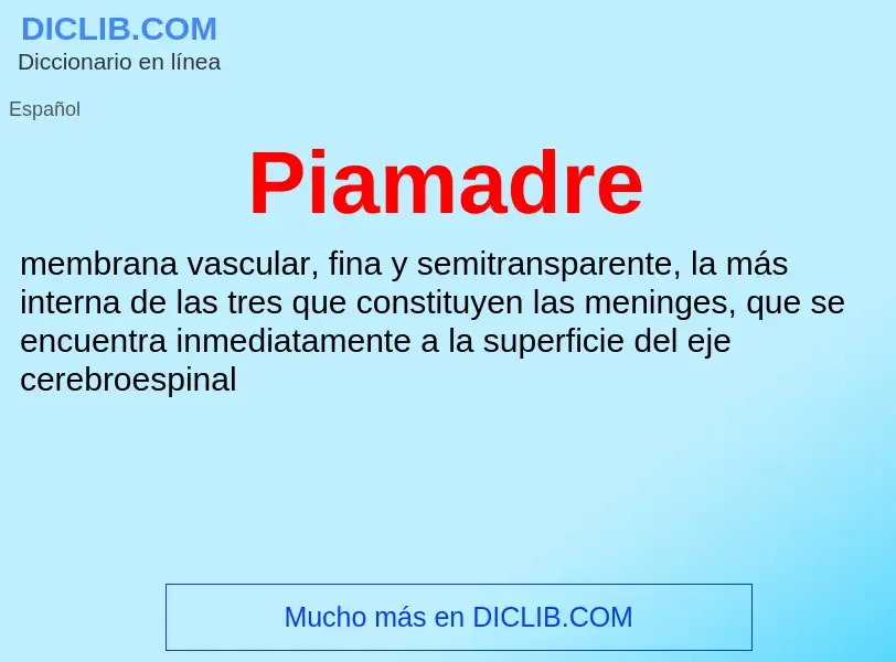 ¿Qué es Piamadre? - significado y definición