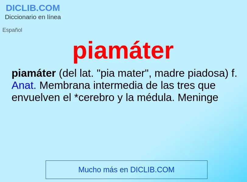 ¿Qué es piamáter? - significado y definición