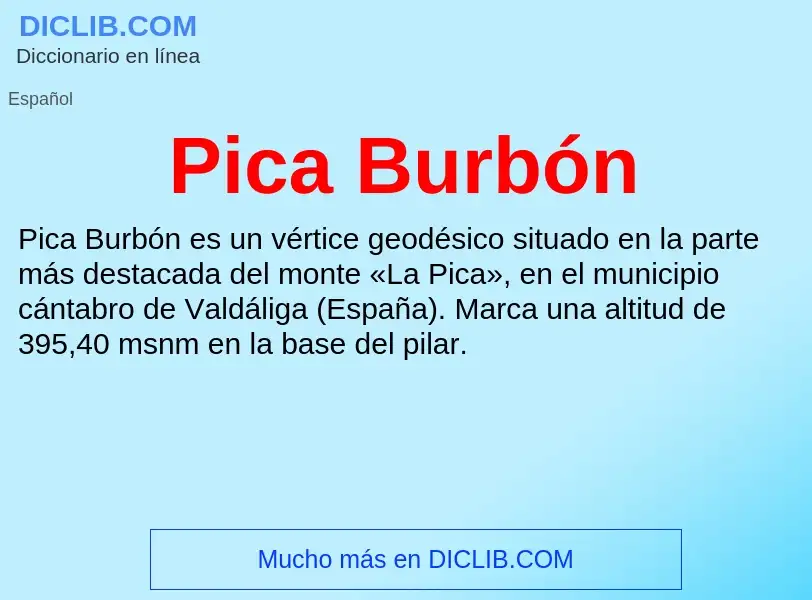 Wat is Pica Burbón - definition